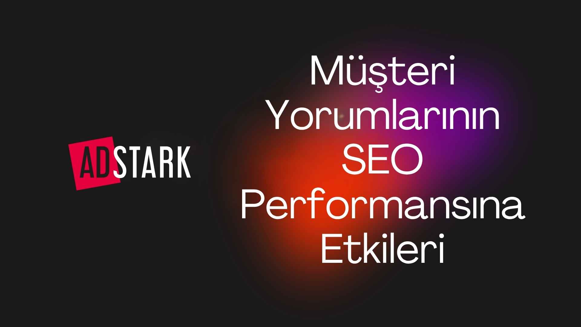 SEO Performansi