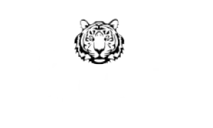 logolar-bigcat-67855bf353ecb-scaled