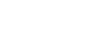 logolar-salvor-67855c226c2d6-scaled